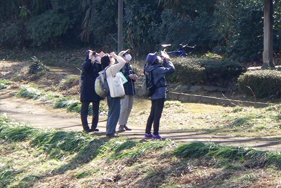 野鳥LIVEウォッチング