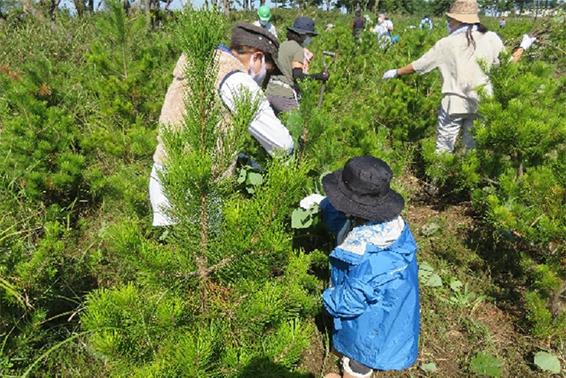 「岩沼・荒浜潮除（しおよけ）須賀松の森」保育事業