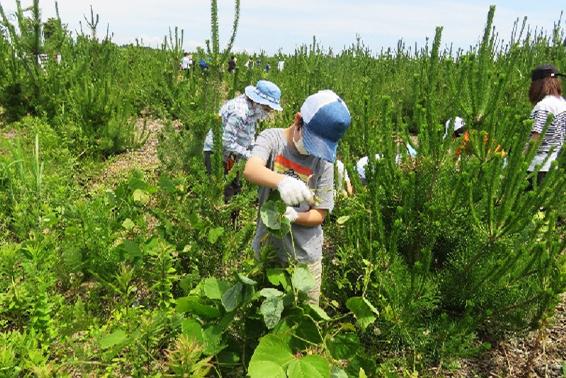 「岩沼潮除須賀松の森」保育活動