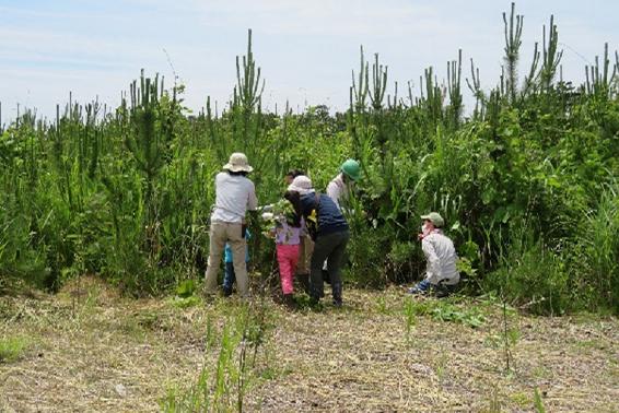 「岩沼潮除須賀松の森」保育活動