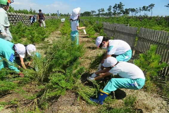 「荒浜潮除須賀松の森」保育活動