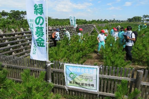 「荒浜潮除須賀松の森」保育活動