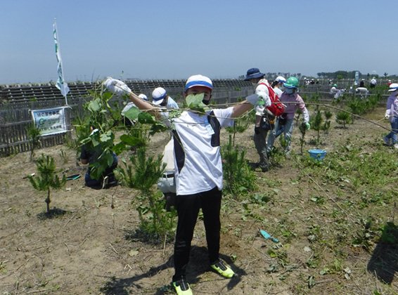 荒浜潮除須賀松の森