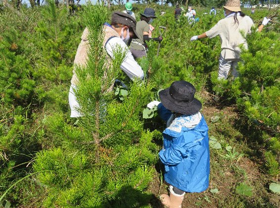 岩沼潮除須賀松の森