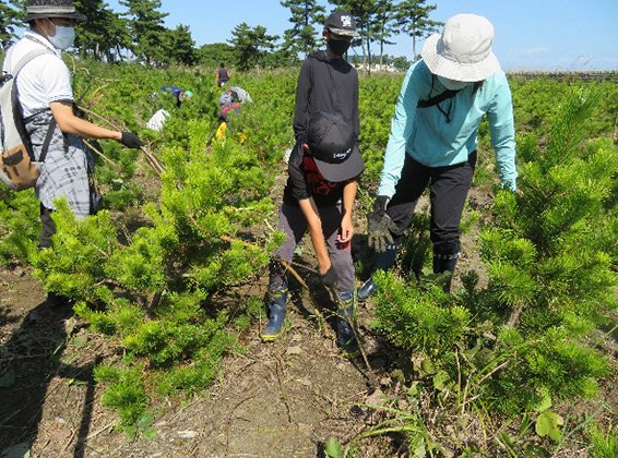 岩沼潮除須賀松の森