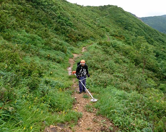 東日本大震災復興支援（海岸林の再生）事業