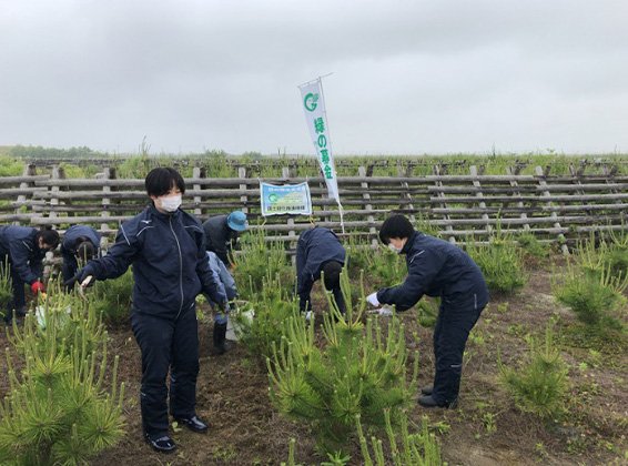 荒浜潮除須賀松の森