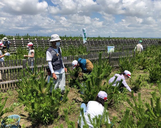 東日本大震災復興支援（海岸林の再生）事業