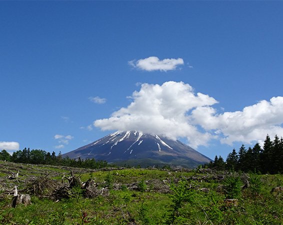 富士山の様子