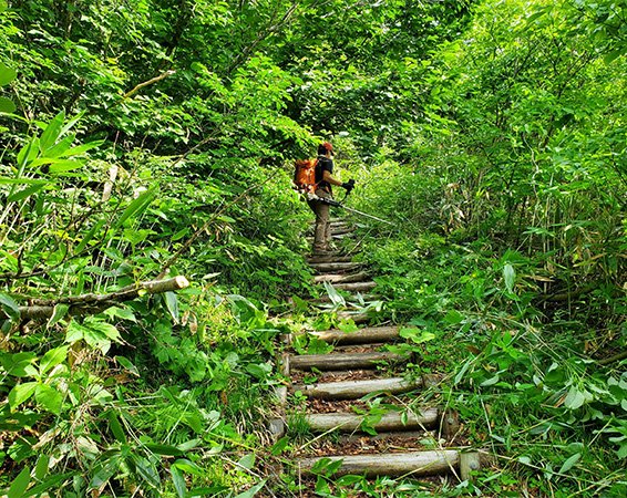 白山平瀬登山道の草刈り作業