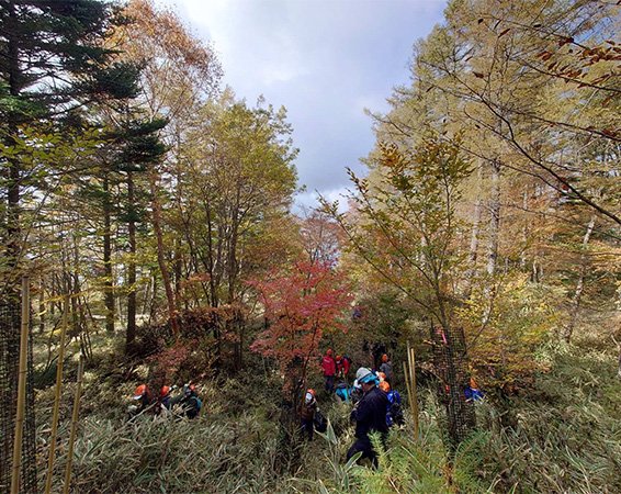 紅葉の中でのボランティア作業の様子