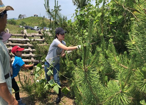 岩沼潮除須賀松の森