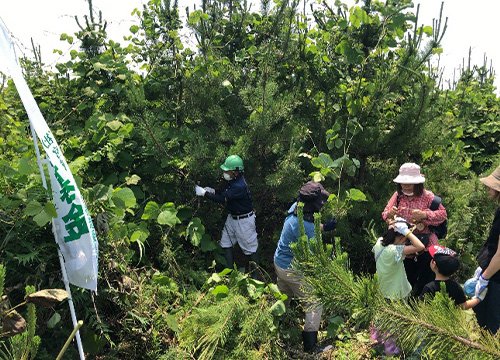 岩沼潮除須賀松の森