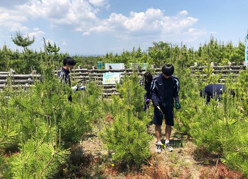 荒浜潮除須賀松の森