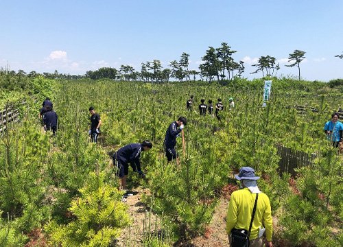 荒浜潮除須賀松の森