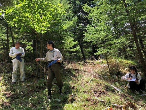 専門家の先生立会いの調査風景