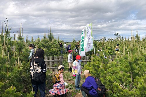 荒浜潮除須賀松の森