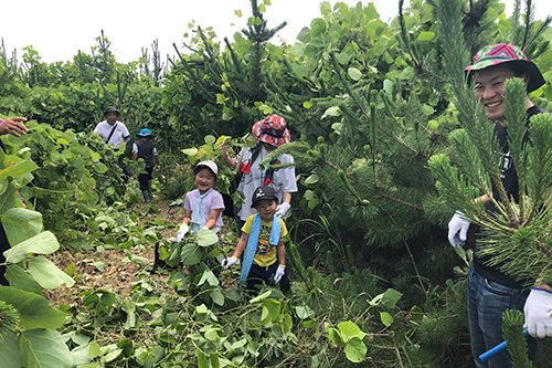 東日本大震災復興支援（海岸林の再生）事業