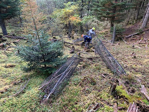 雪や強風によって、倒れているネット。