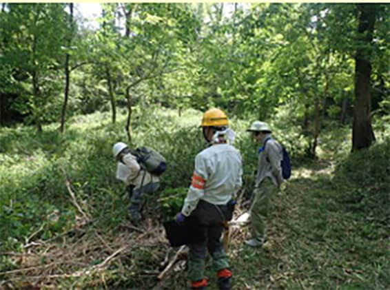 昆虫の森植物調査