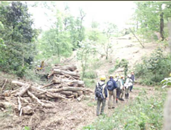 ライオンの森植物調査