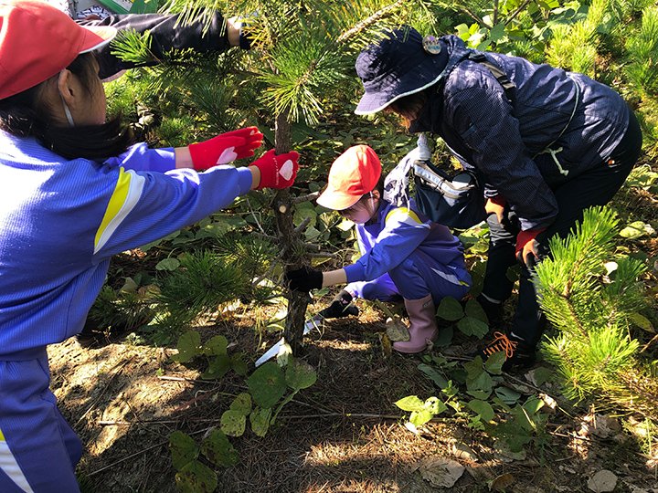 東日本大震災復興支援（海岸林の再生）事業