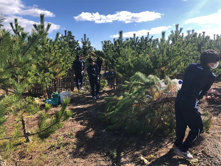 荒浜潮除須賀松の森での活動の様子１