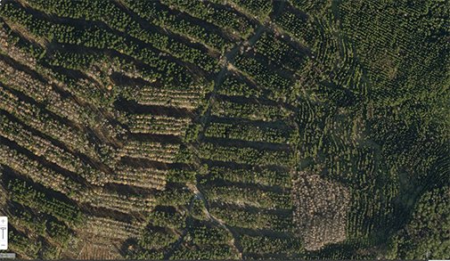 プロジェクト地（2013年）