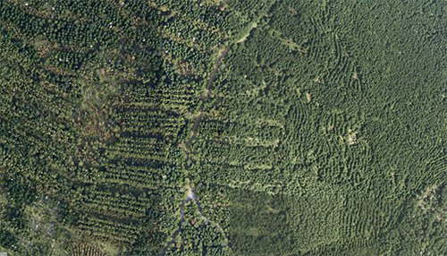 プロジェクト地（2021年）